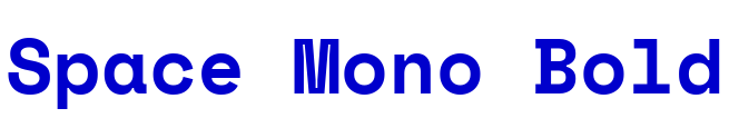 Space Mono Bold font